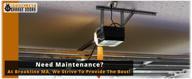 Garage Door Maintenance Brookline MA